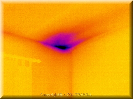 EP_1213_31_b.jpg