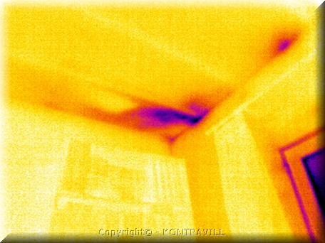 EP_1213_40_b.jpg